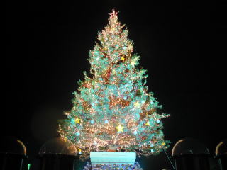 はこだてクリスマスファンタジー　クリスマスツリー
