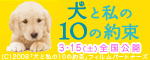 犬と私の10の約束